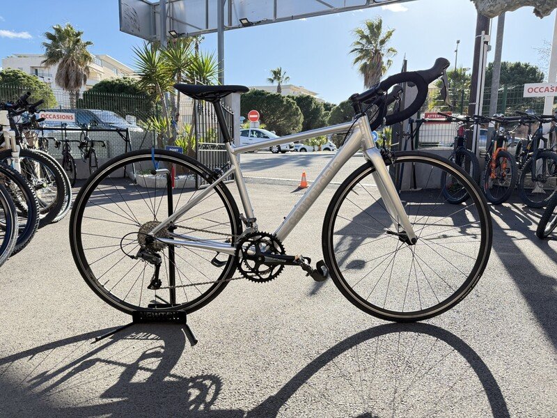 ROUTE CANNONDALE OPTIMO Taille 51